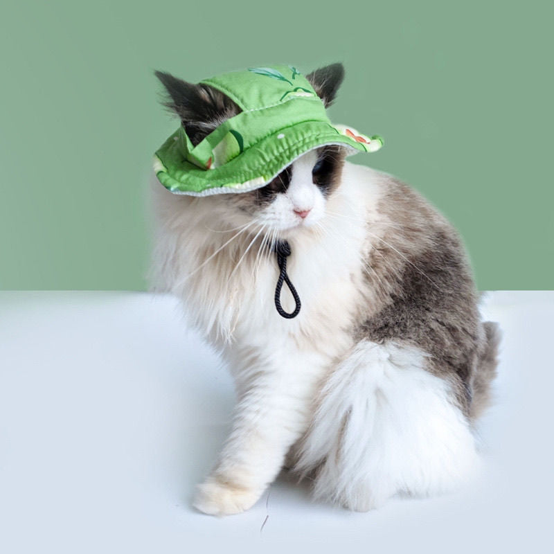 Cute Cool Pet Hat - PetsLoveStory®