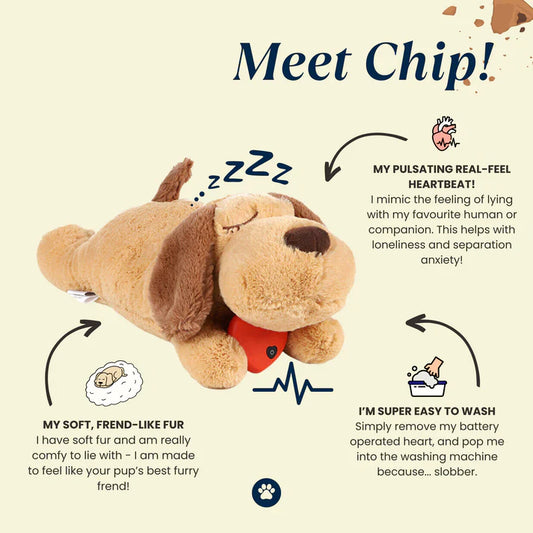 Chip Snuggle Buddy® - PetsLoveStory®