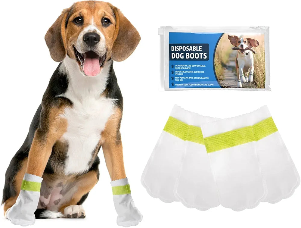 Disposable Waterproof Dog Booties for Paw Protection - PetsLoveStory®
