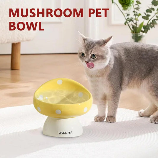 Cat Bowls Raised Cat Food Bowls - PetsLoveStory®