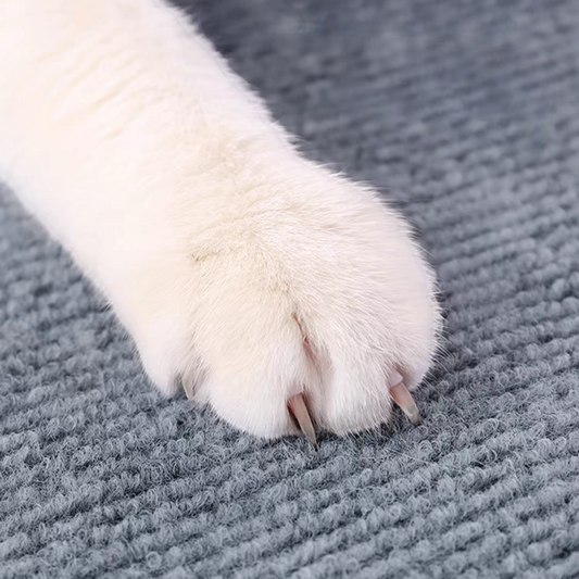 DIY Climbing Cat Scratcher - PetsLoveStory®