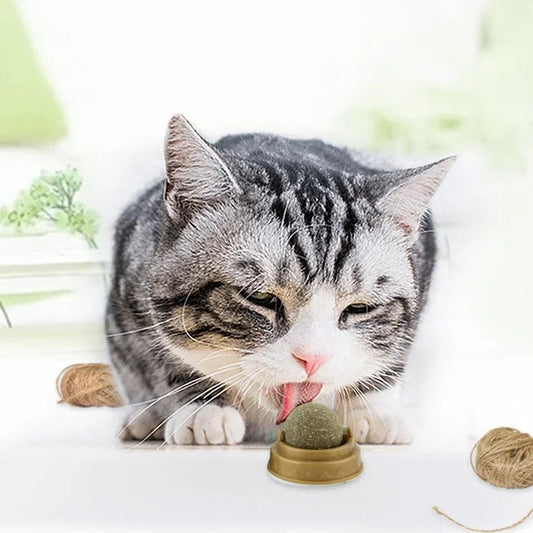 Catnip licking Ball For Cats - PetsLoveStory®