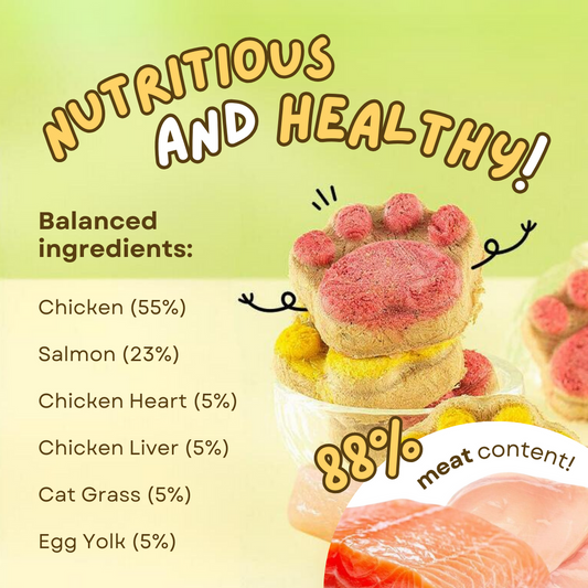 Paw Cat Treats (5 PCS) - PetsLoveStory®