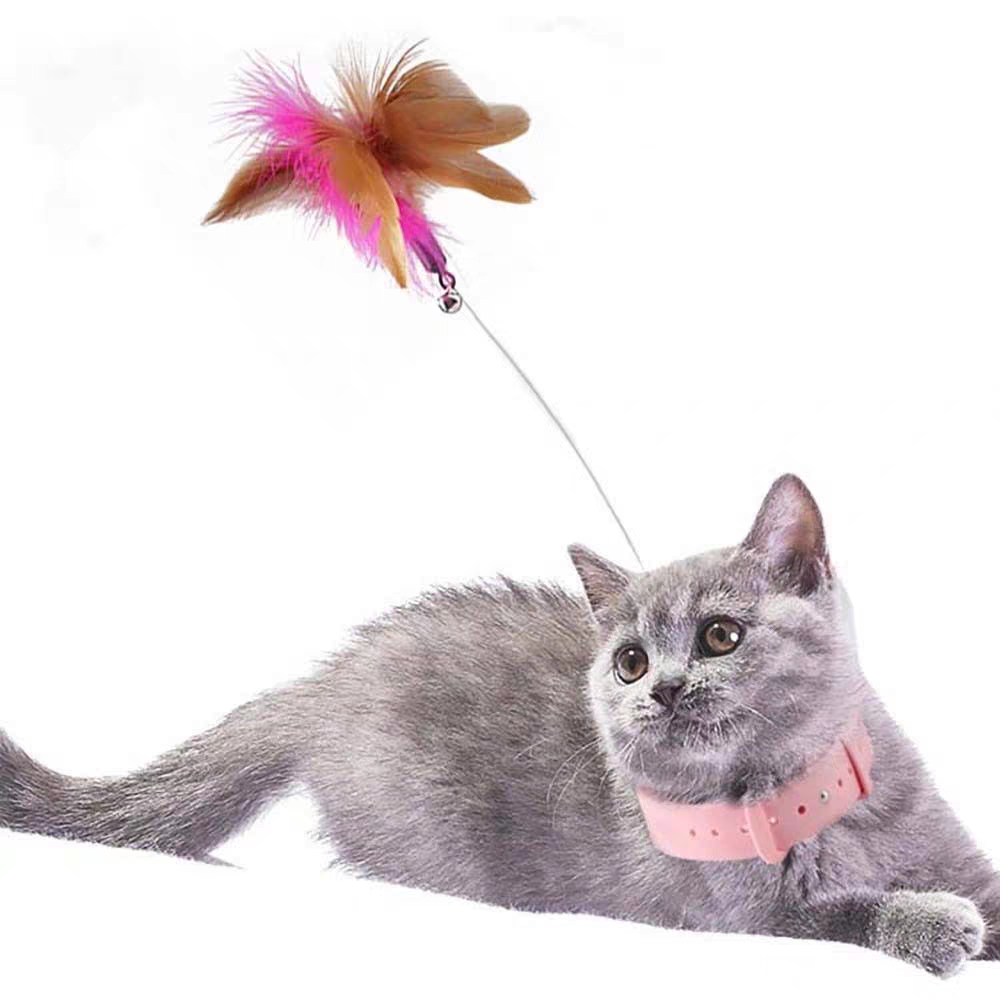 Cat Toys Feather Collar Self-healing - PetsLoveStory®