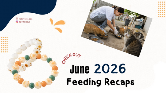 June Update: 1,000+ Meals — Our Biggest Month Yet 🐾