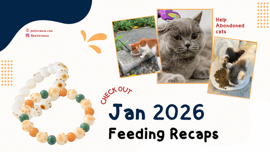 January 2026: The Start of a Beautiful Mission