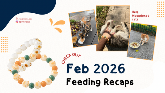 February 2026: Our Tribe Grows, More Bowls Filled