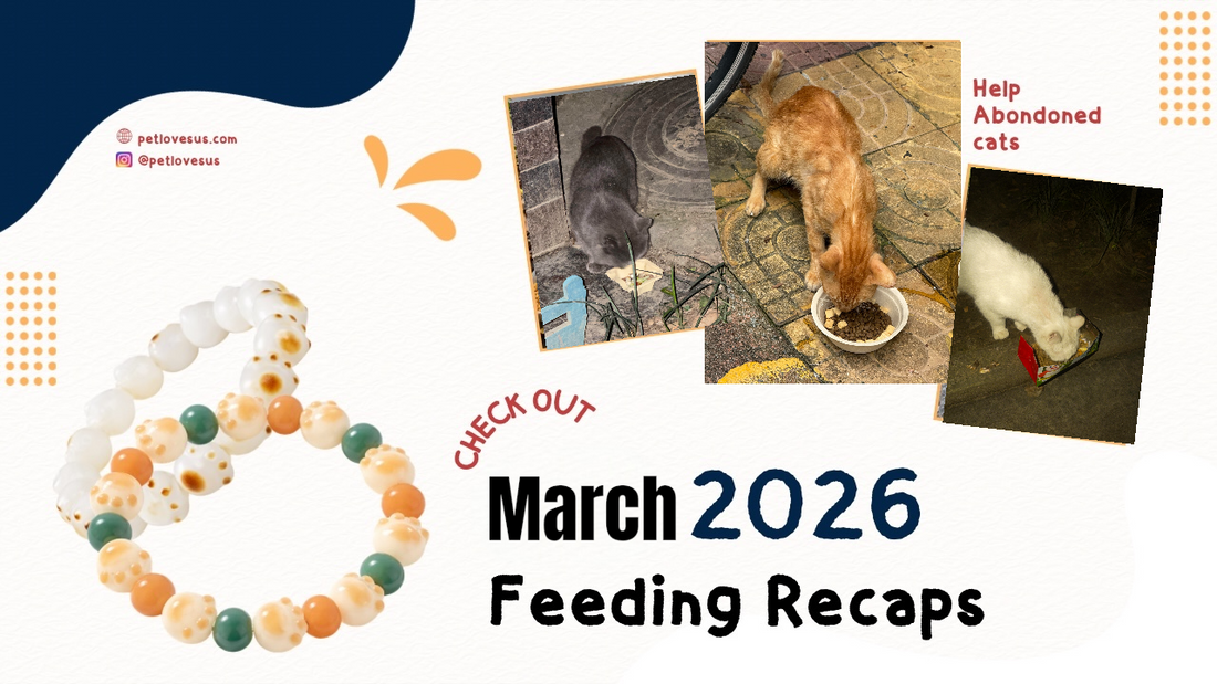 March Feeding Update: 1,500+ Warm Meals and Countless Happy Paws! 🐾