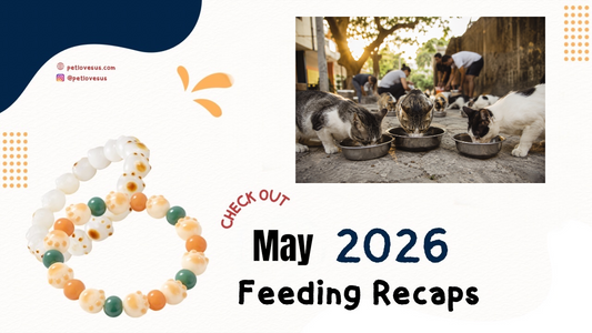 May Feeding Report: Summer Heat, Full Bowls 🐾