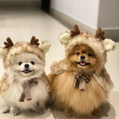 Christmas pet coat