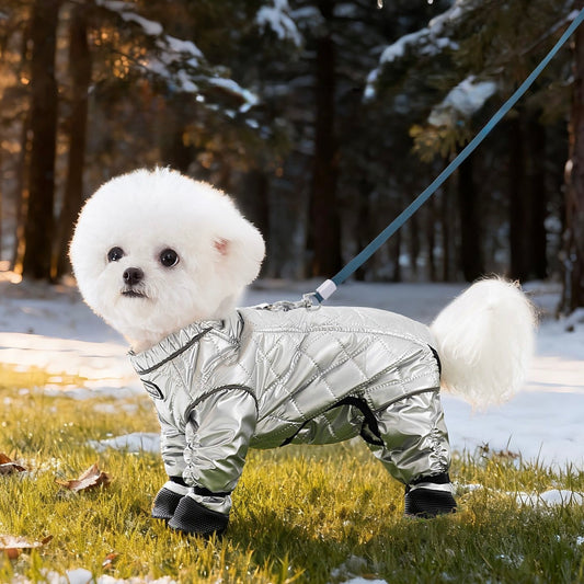 Four-Legged Pants For Teddy Dogs