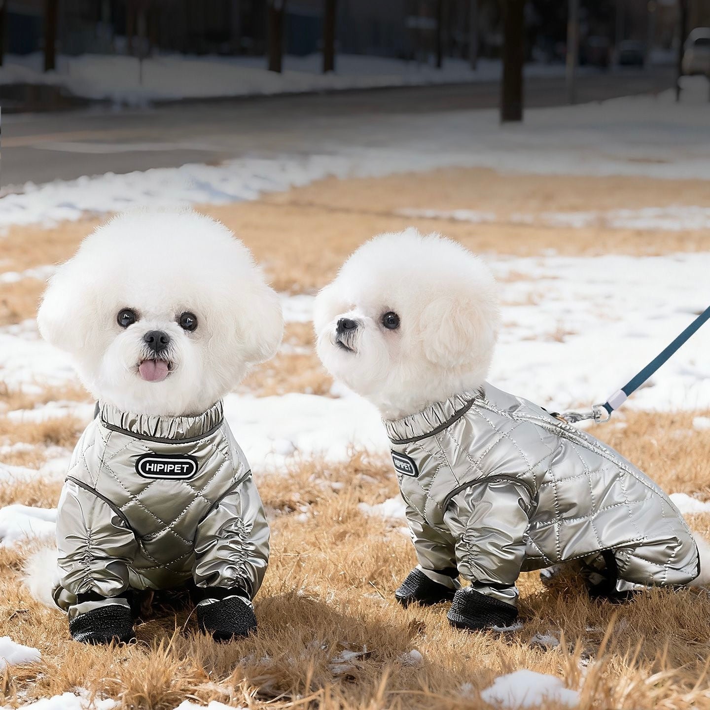 Four-Legged Pants For Teddy Dogs