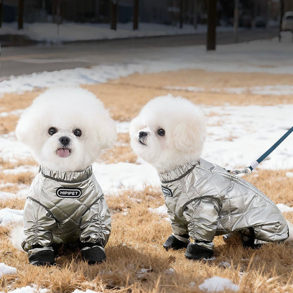 Four-Legged Pants For Teddy Dogs