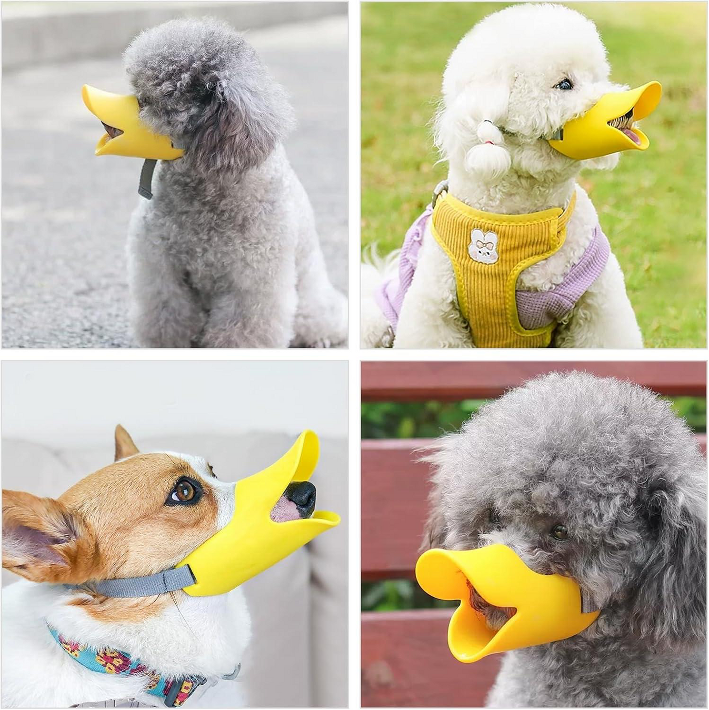 Dog Muzzle – Cutest Adjustable Duck Mouth For Your Dog