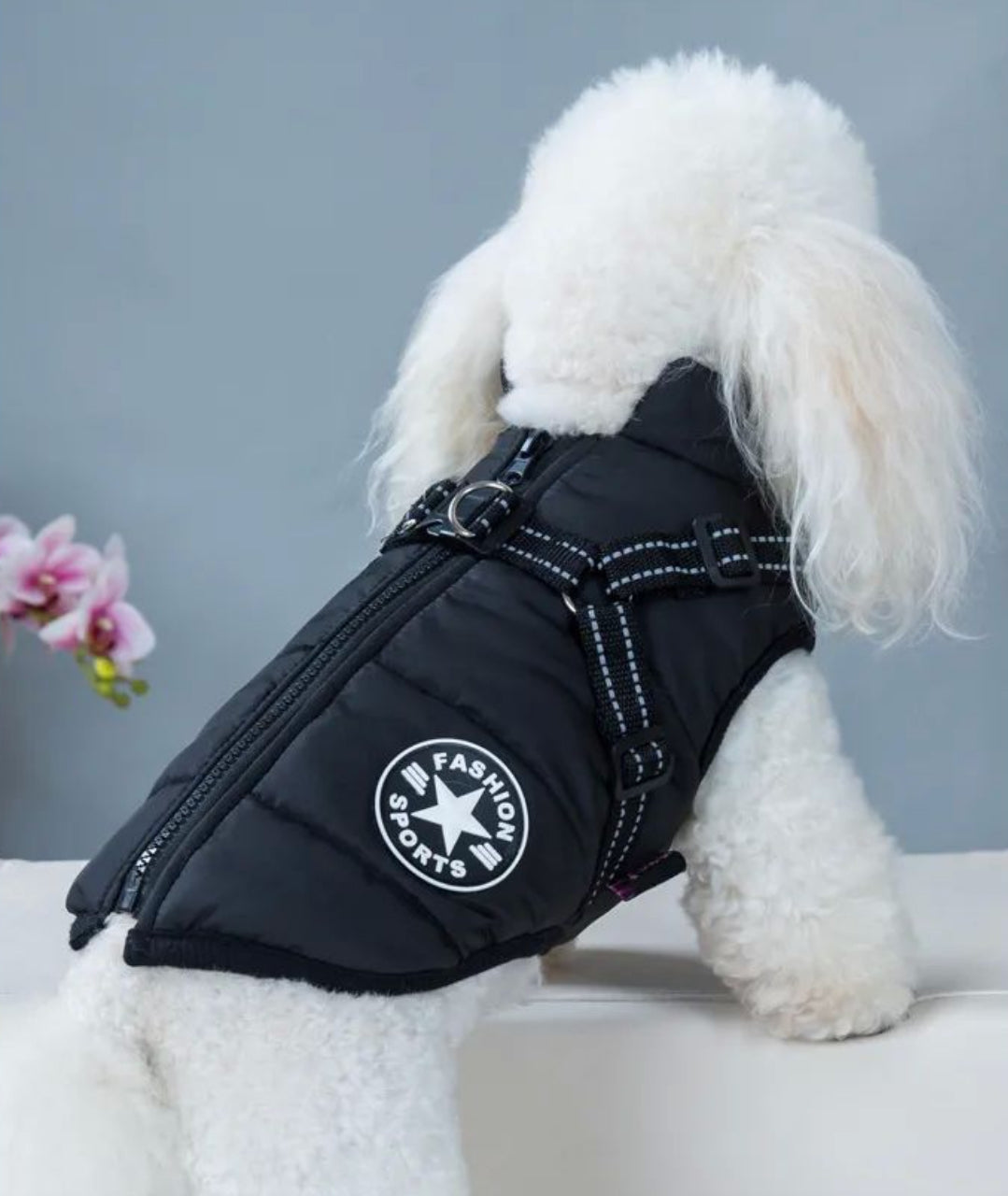 PetsLoveStory® Dog Winter Jacket With Harness - PetsLoveStory®