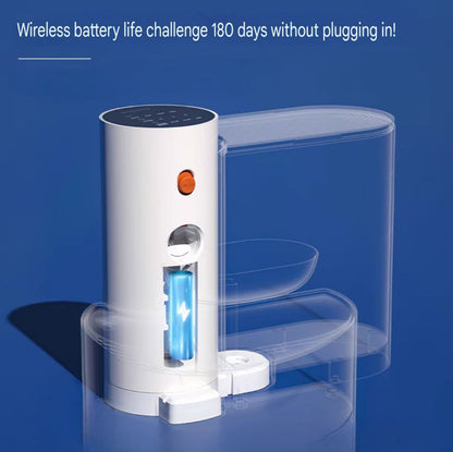 New Filter Free Cat Water Fountain - PetsLoveStory®