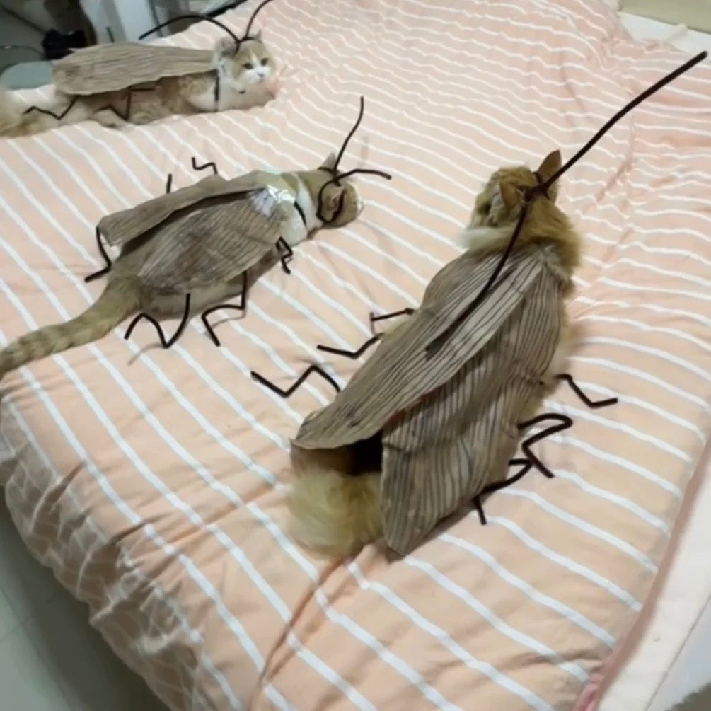 Funny Pet Catroach Costume Outfit