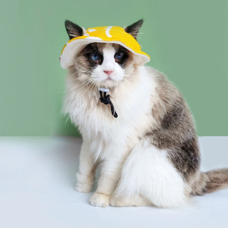 Cute Cool Pet Hat - PetsLoveStory®