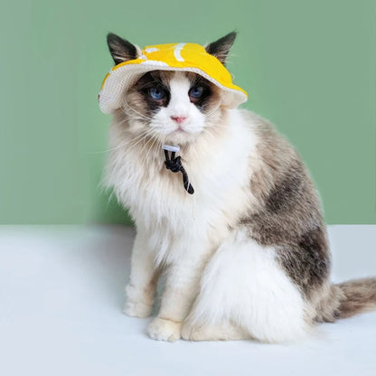 Cute Cool Pet Hat - PetsLoveStory®