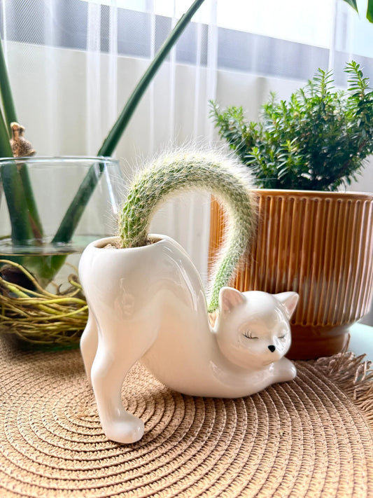 Pretty Kitty Ceramic Pot