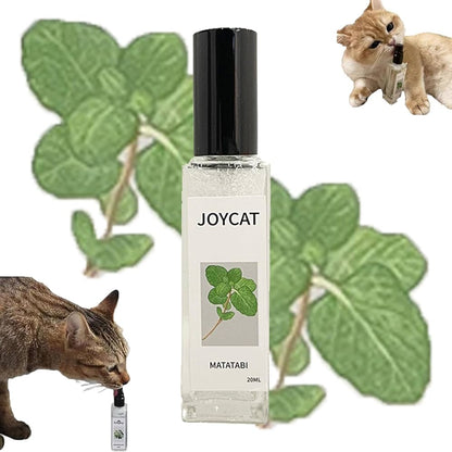Catnip Cat Joy Spray - PetsLoveStory®