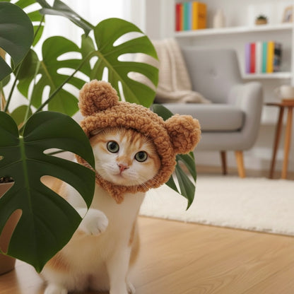Cozy Bear Ears Pet Hat - Adorable Warmth for Your Furry Friend