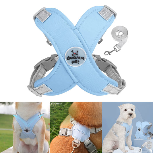 X Shape Breathable Harness Leash Set