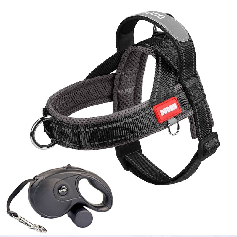Saddle Dog Harness & Leash Set