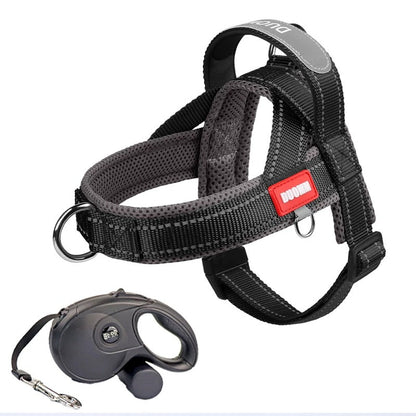 Saddle Dog Harness & Leash Set