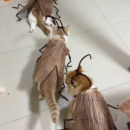 Funny Pet Catroach Costume Outfit