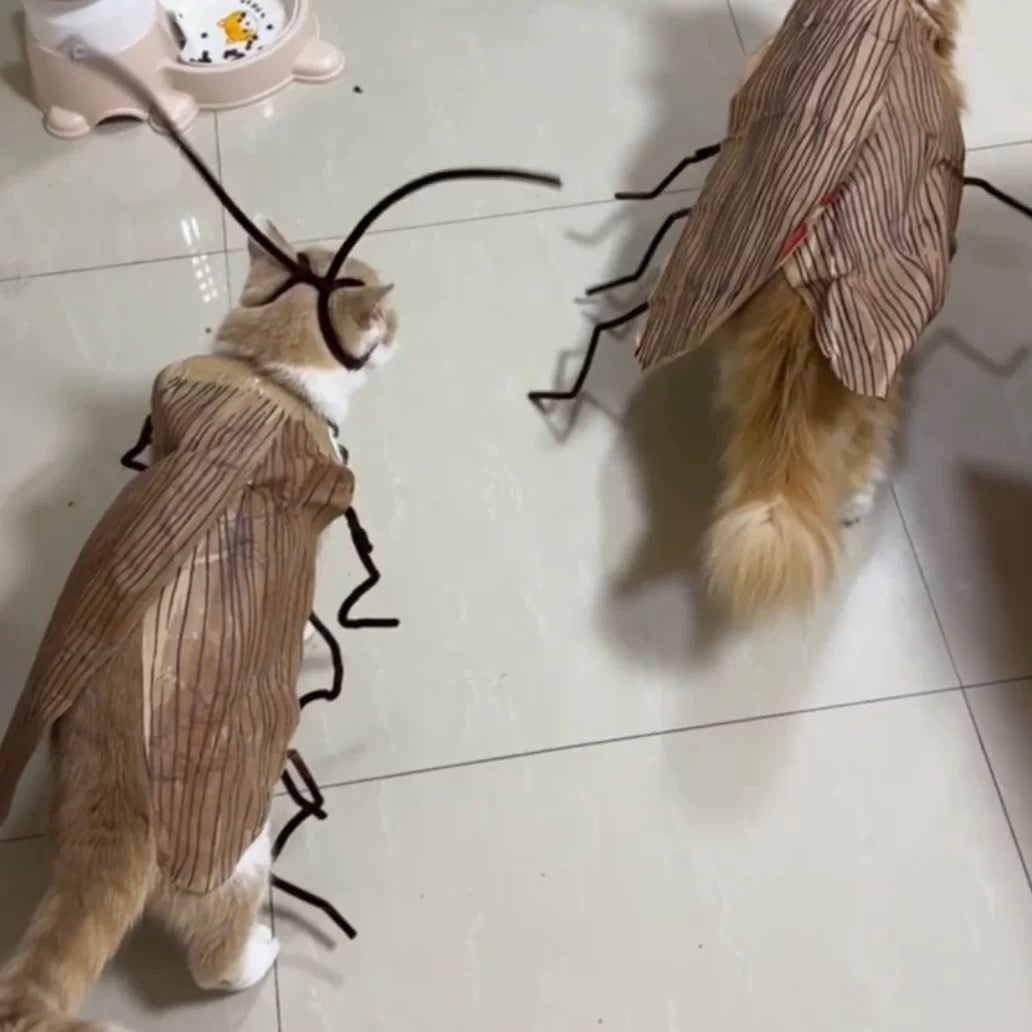 Funny Pet Catroach Costume Outfit