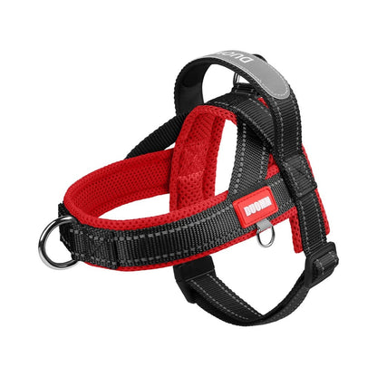 Saddle Dog Harness & Leash Set