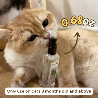 Catnip Cat Joy Spray - PetsLoveStory®