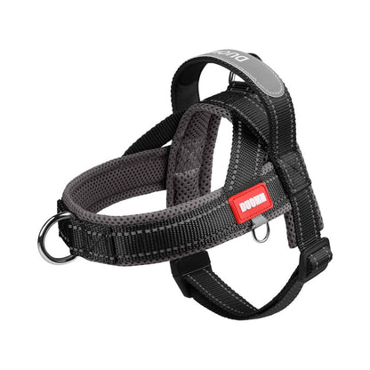 Saddle Dog Harness & Leash Set
