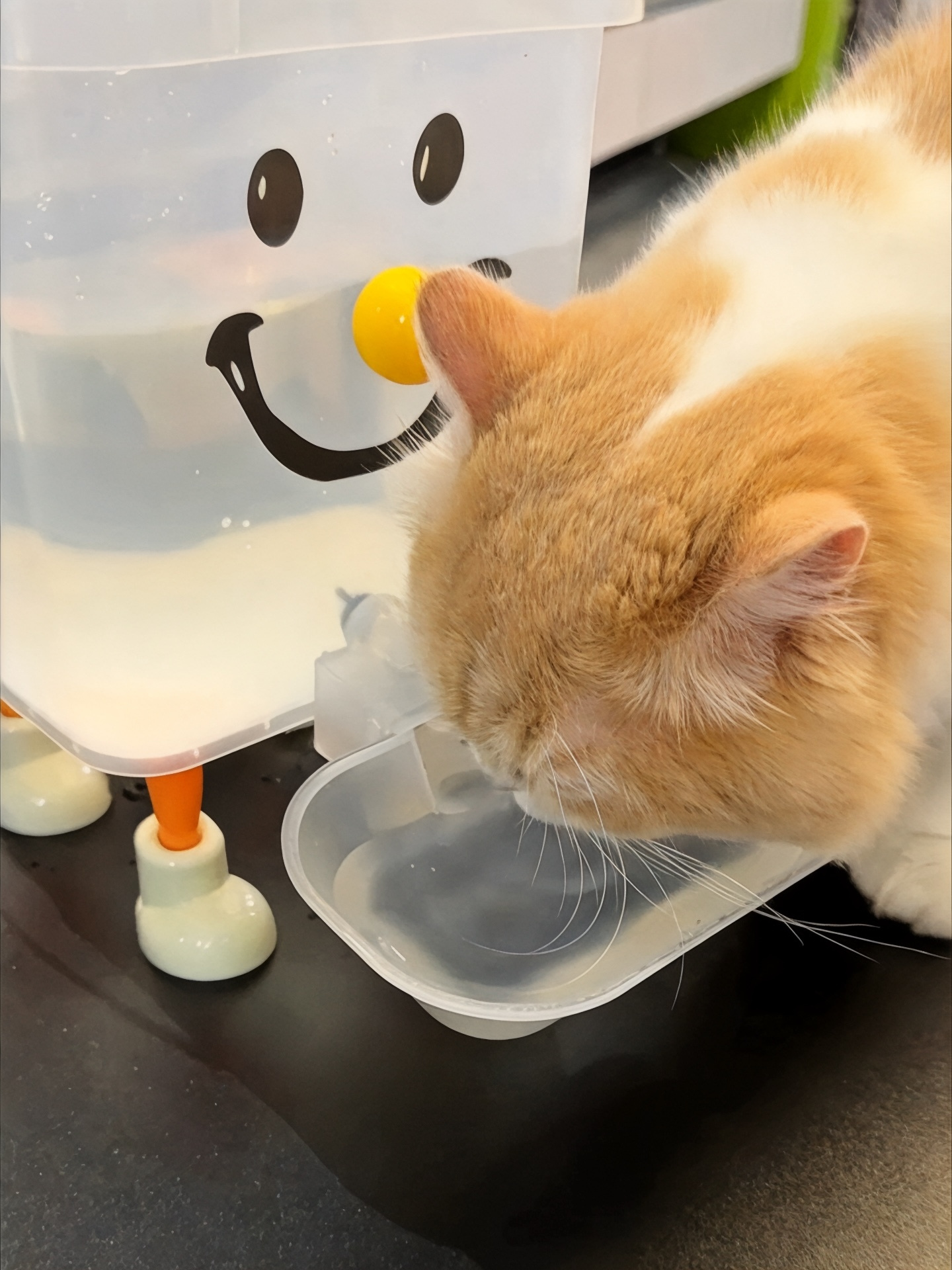 Smiling Face Pet water dispenser with Legs and Tap