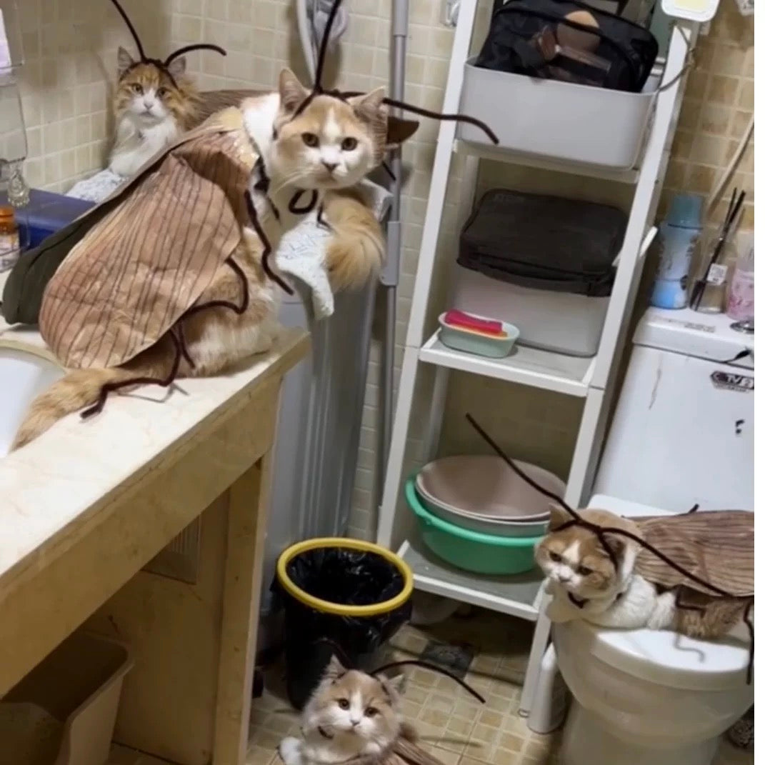 Funny Pet Catroach Costume Outfit