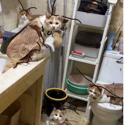 Funny Pet Catroach Costume Outfit