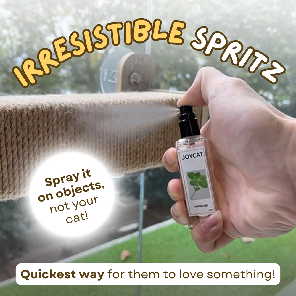 Catnip Cat Joy Spray - PetsLoveStory®
