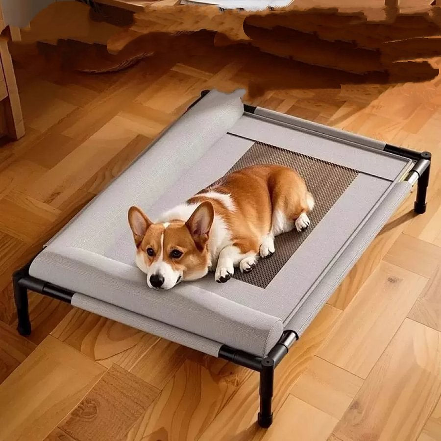 Cooling Dog Bed