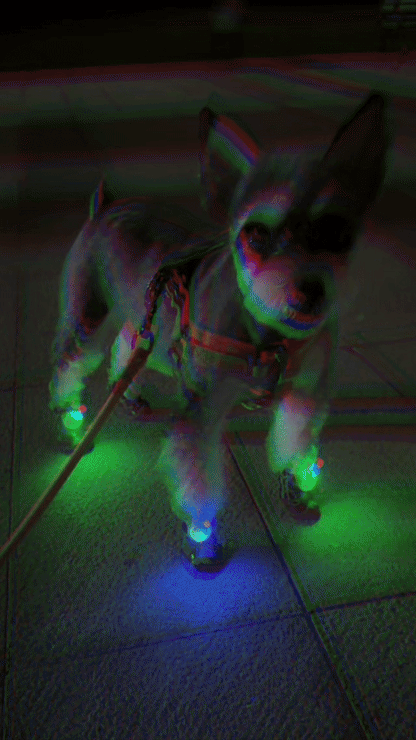 New lighting Dog winter Shoe ( 2 Pairs  ) for Front & Back Legs