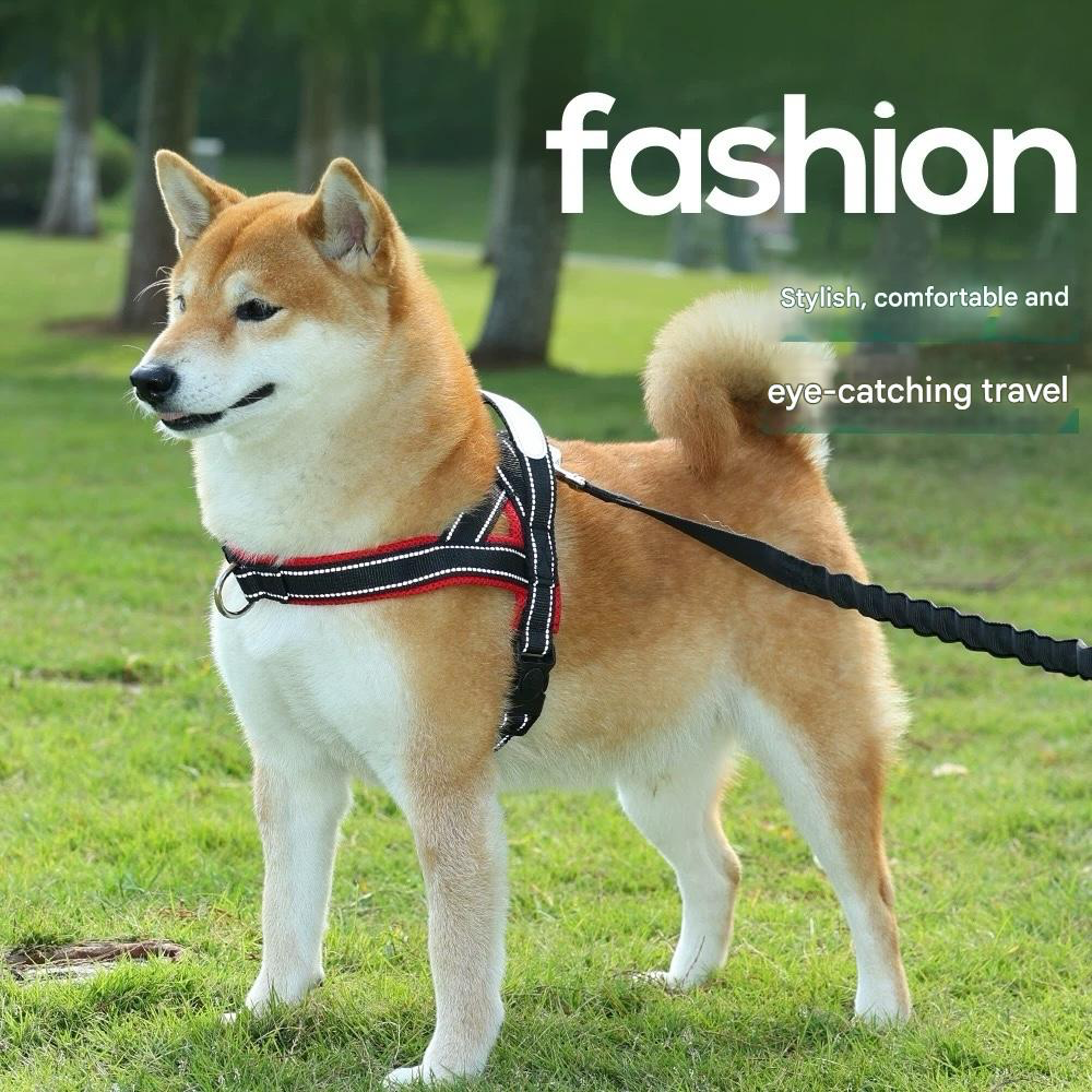 Saddle Dog Harness & Leash Set