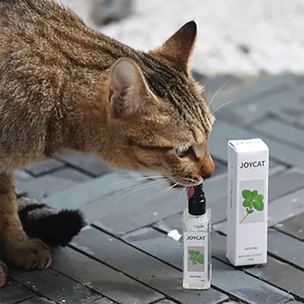 Catnip Cat Joy Spray - PetsLoveStory®