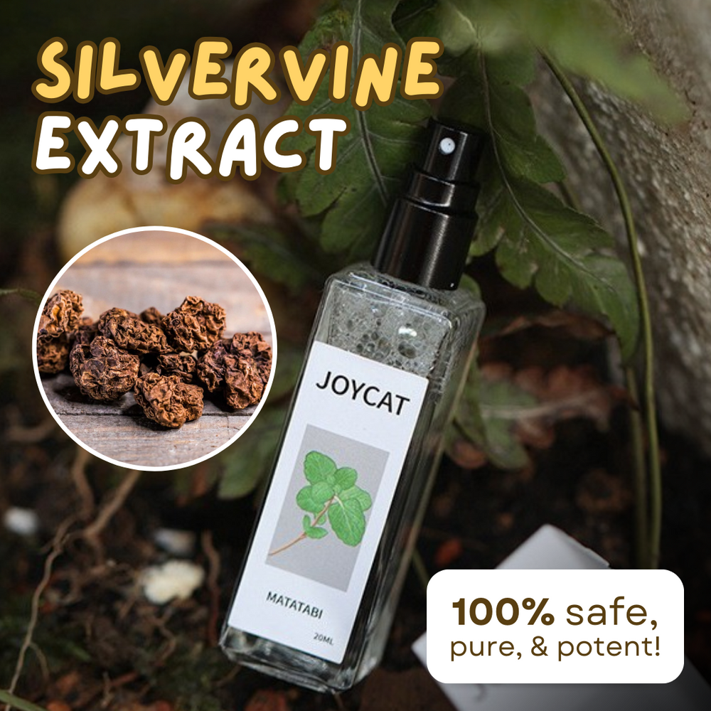 Catnip Cat Joy Spray - PetsLoveStory®