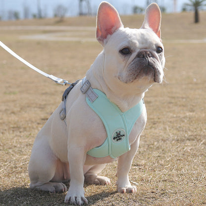 X Shape Breathable Harness Leash Set
