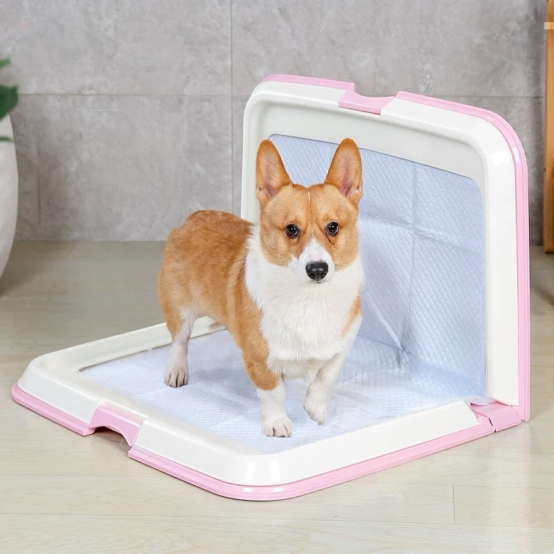 Dog Toilet