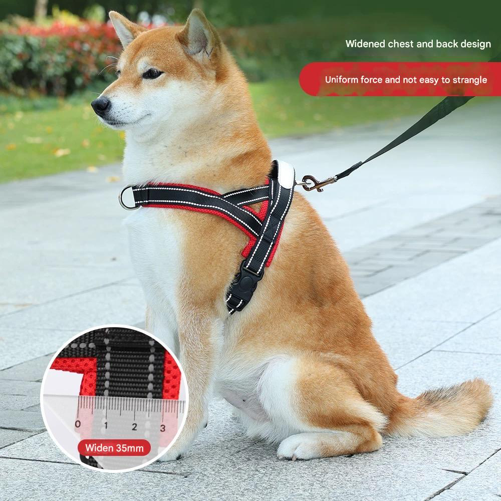 Saddle Dog Harness & Leash Set