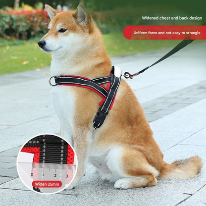 Saddle Dog Harness & Leash Set