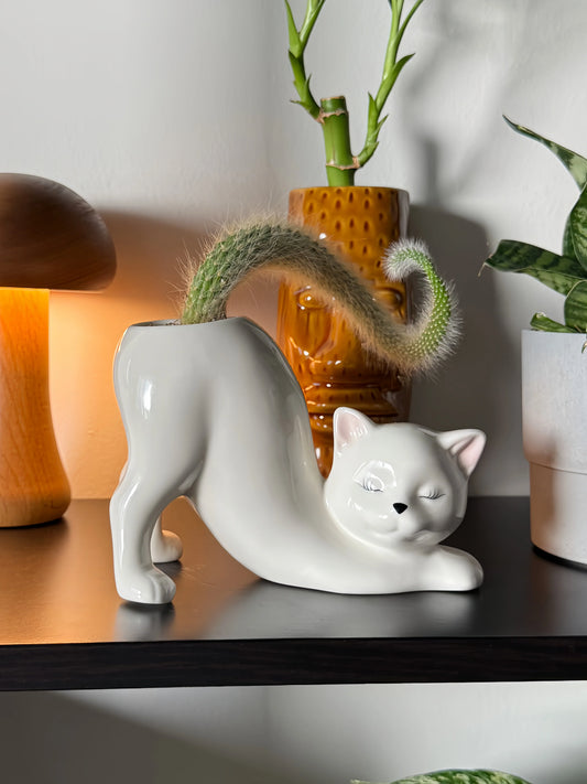 Pretty Kitty Ceramic Pot