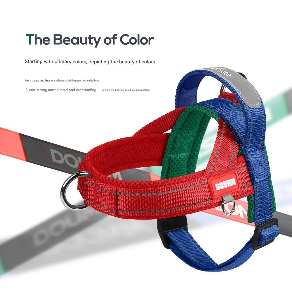 Saddle Dog Harness & Leash Set