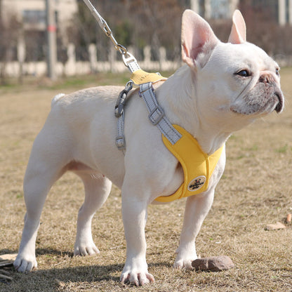 X Shape Breathable Harness Leash Set